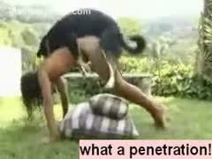 Outside, a dark-haired Chinese honey is having sex with a dog.